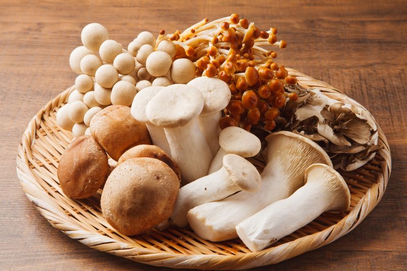 Mushrooms: Umami-Rich Fungi