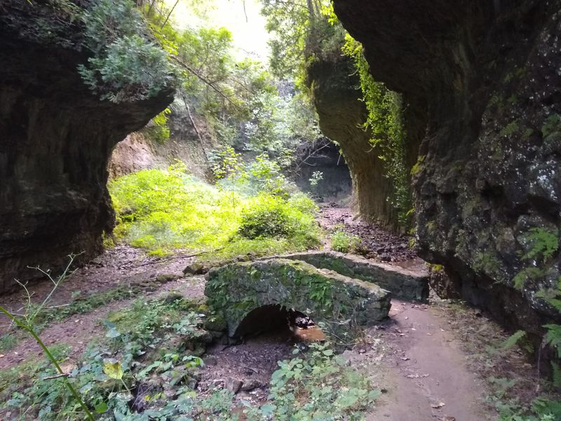 Valley of the Ancients Trail