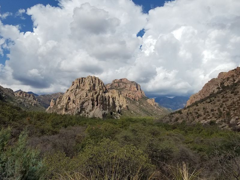 Cave Creek Canyon, Cochise County Cave Creek Canyon, Cochise County