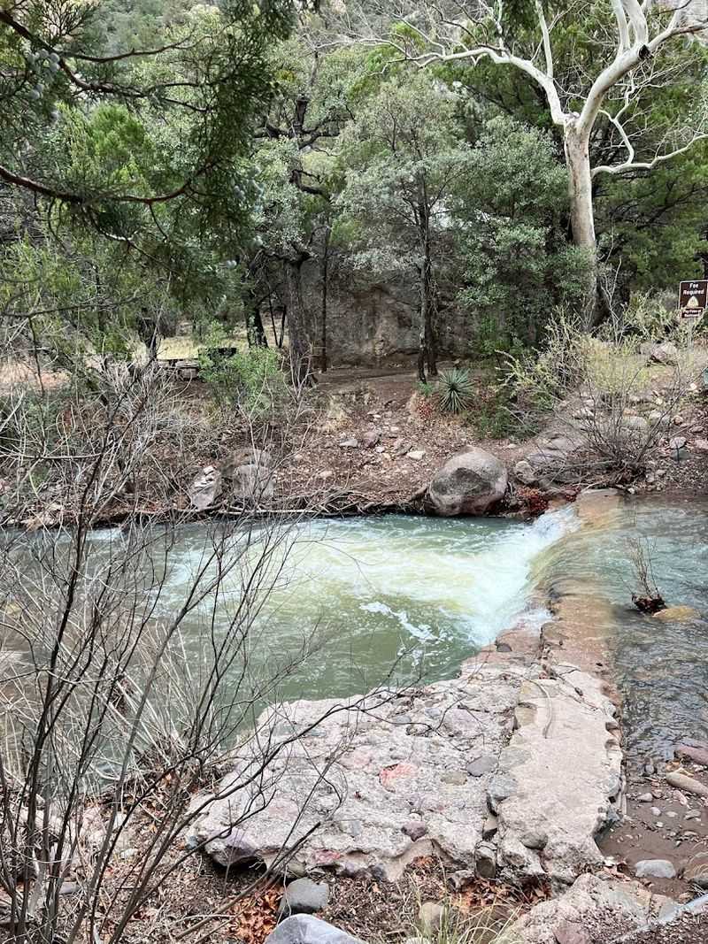 Cave Creek Canyon: The Heart Of The Experience