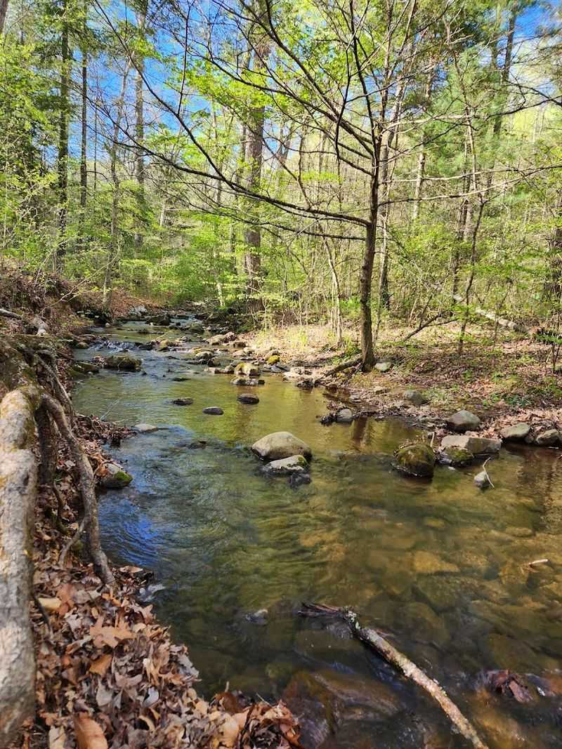 Cave Mountain Lake Recreation Area