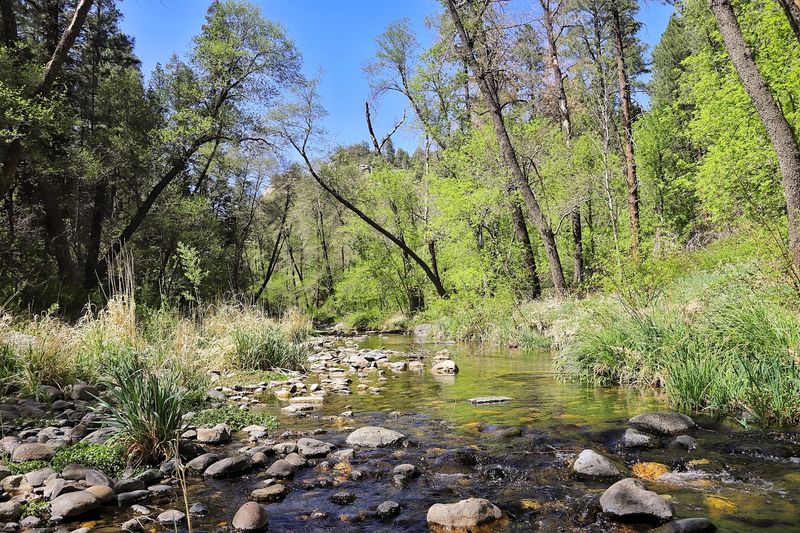 Pine Flat Campground, Oak Creek Canyon