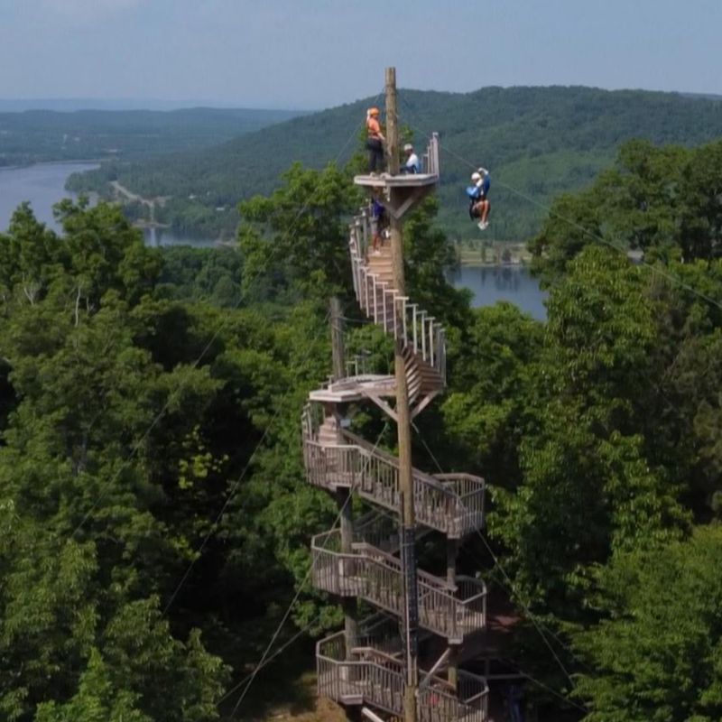 Feathered Thrills At Guntersville Dam
