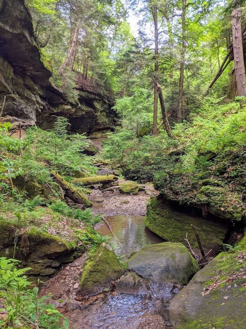 Trail Difficulty and What to Actually Expect