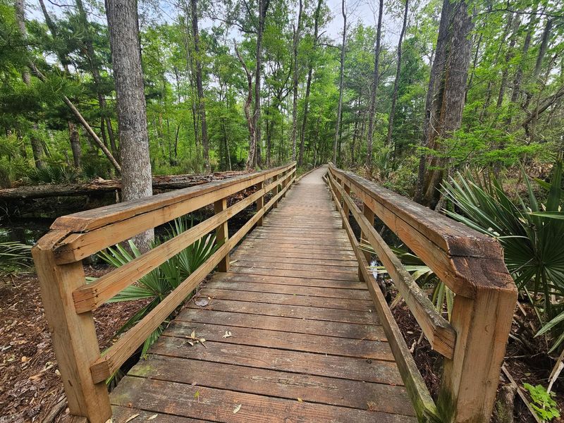 Caw Caw Interpretive Center, Ravenel Caw Caw Interpretive Center, Ravenel