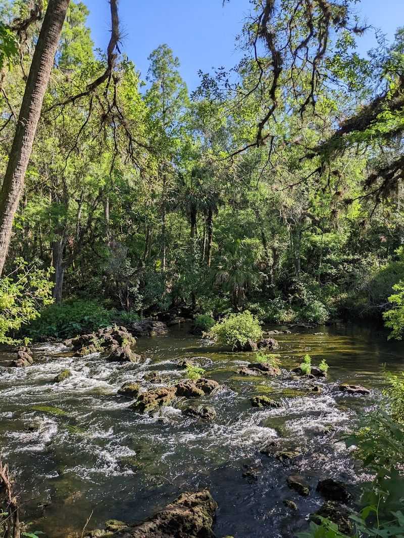 Hillsborough River State Park, Thonotosassa