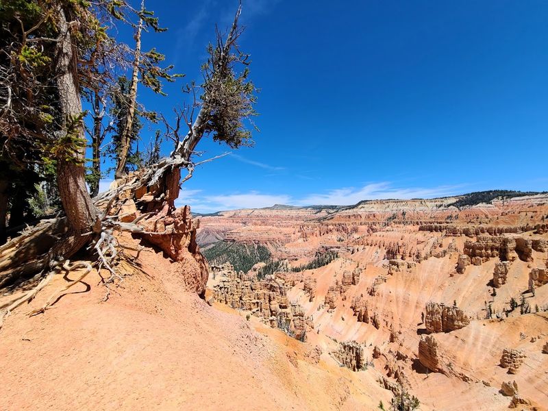 Cedar Breaks National Monument