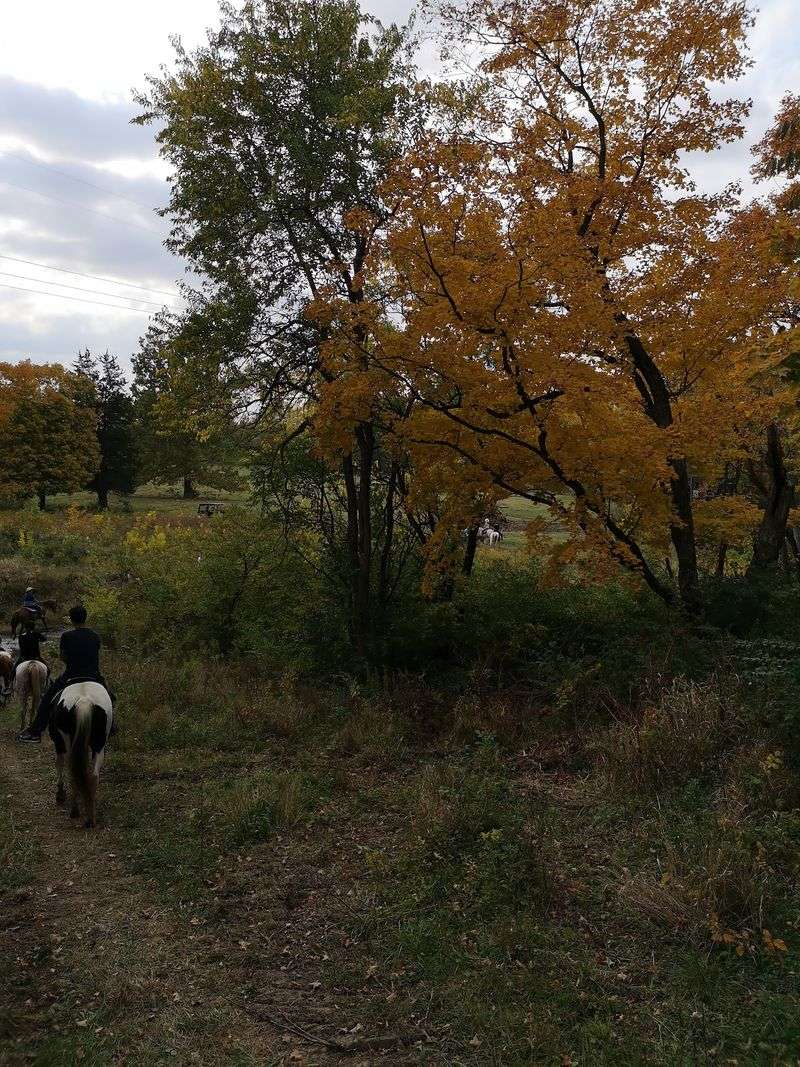 Cedar Creek Ranch