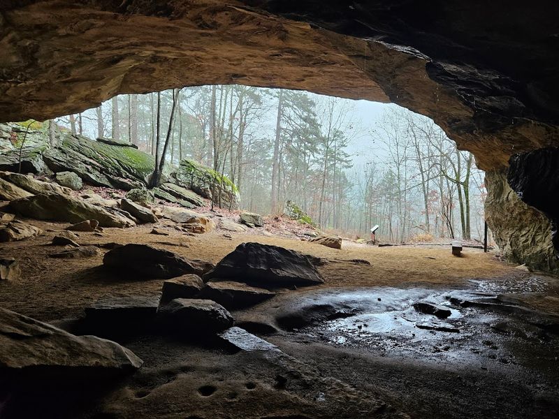Rock House Cave Trail, Morrilton