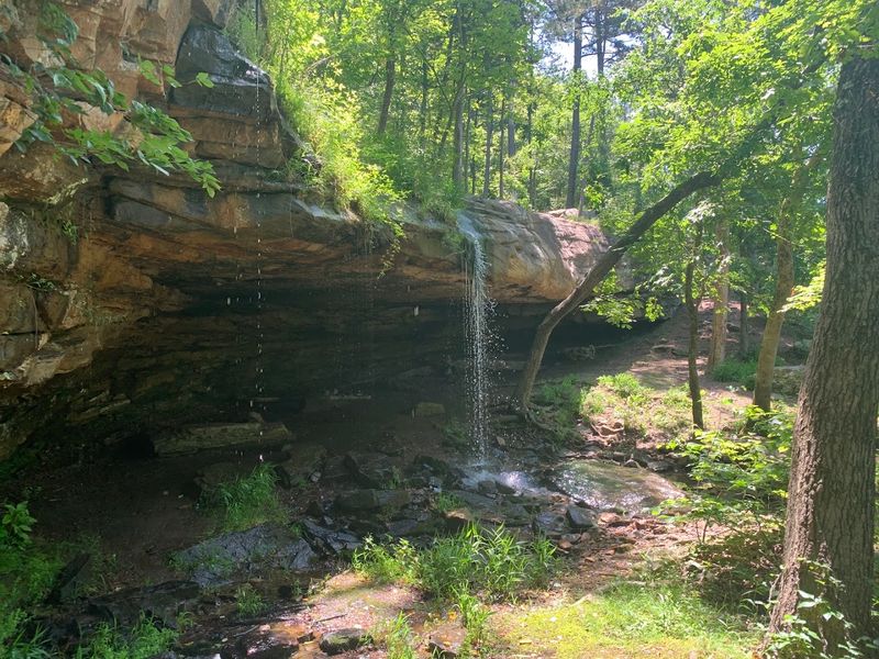 Whitaker Point (Hawksbill Crag) Trail, Kingston