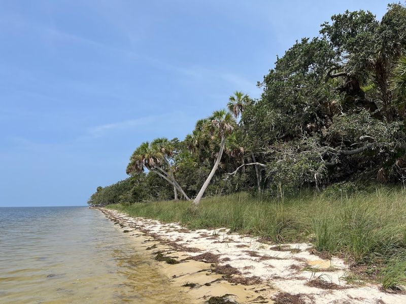 Cedar Key National Wildlife Refuge