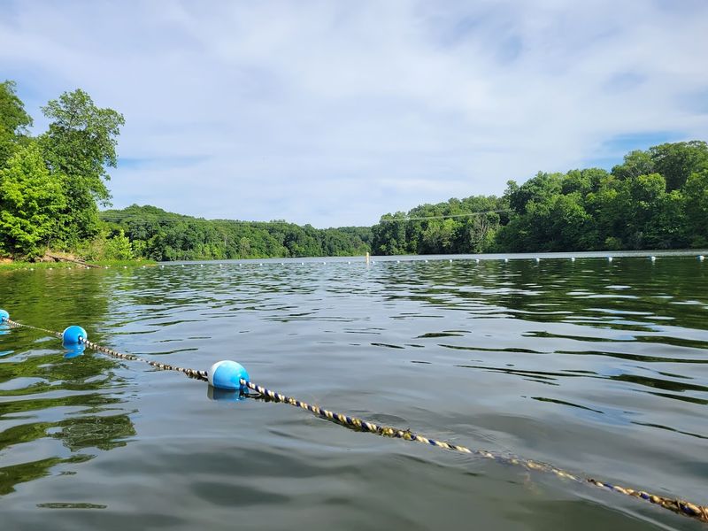 Cedar Lake Beach, Shawnee National Forest Cedar Lake Beach, Shawnee National Forest