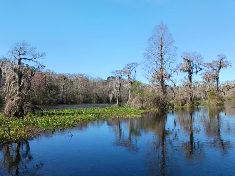 Edward Ball Wakulla Springs State Park – Wakulla Springs
