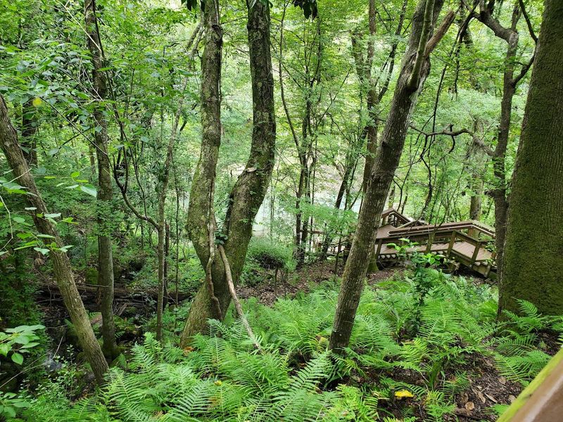 Devil's Millhopper Geological State Park 