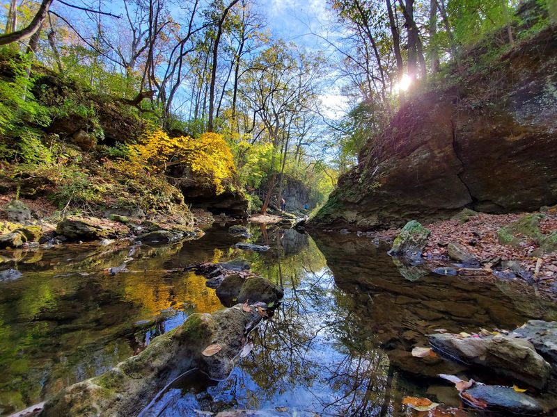 Cedarville, Greene County
