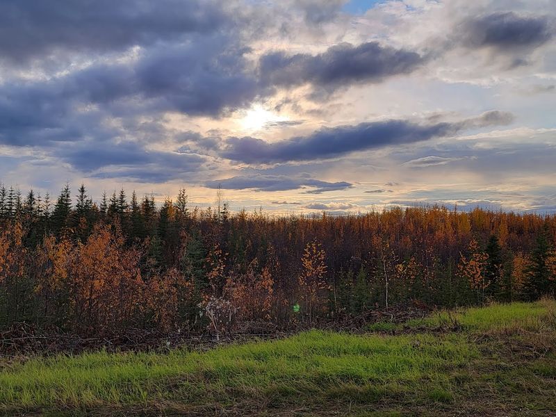Celebrate The Midnight Sun Above The Arctic Circle 