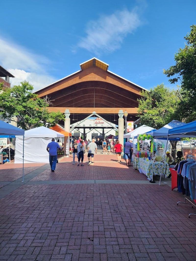 Morning And Midday Hours Shape The Ideal Visiting Window
