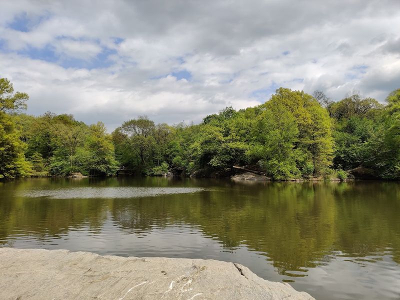 Central Park / Quarry Lake Central Park / Quarry Lake