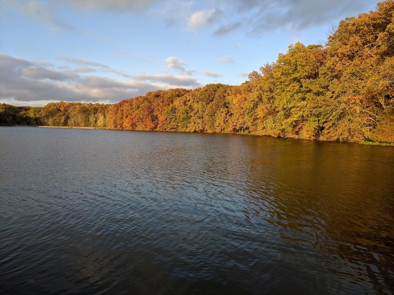 Beaver Dam State Park, Plainview, Illinois