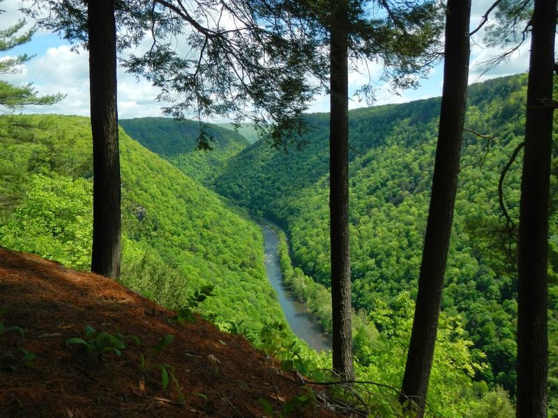 Pine Creek Outfitters, Ansonia