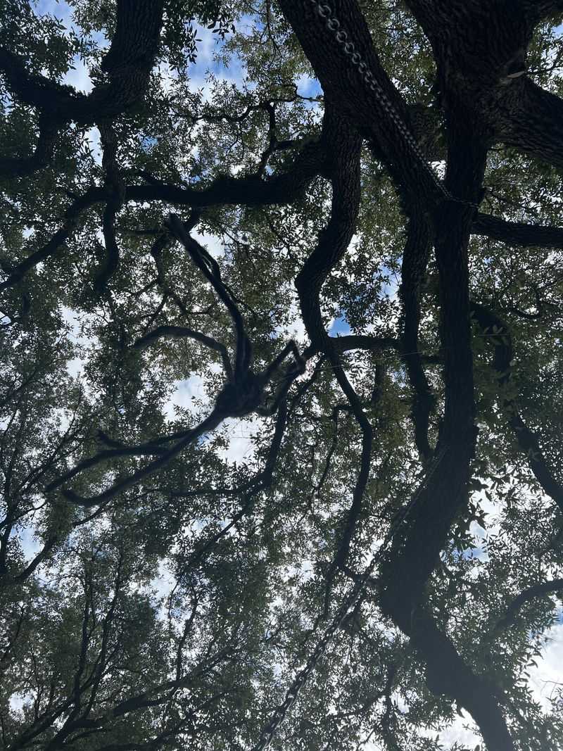 Seating The Sky: Benches, Rocks, And Time