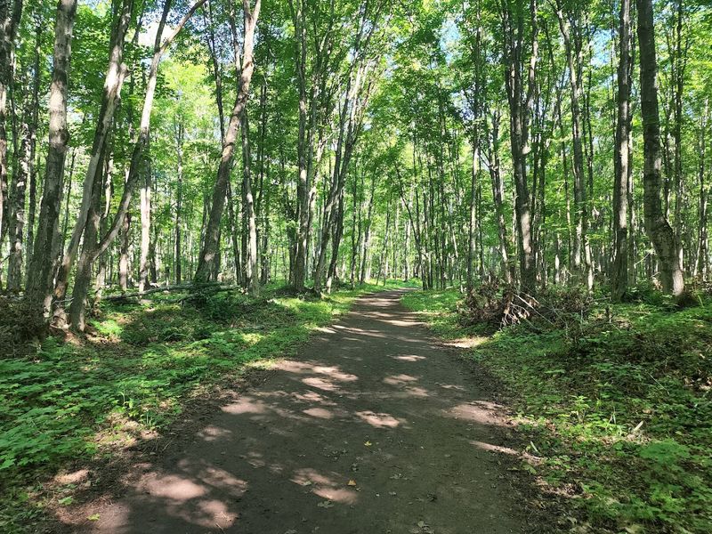 First Forest Miles Warm Up