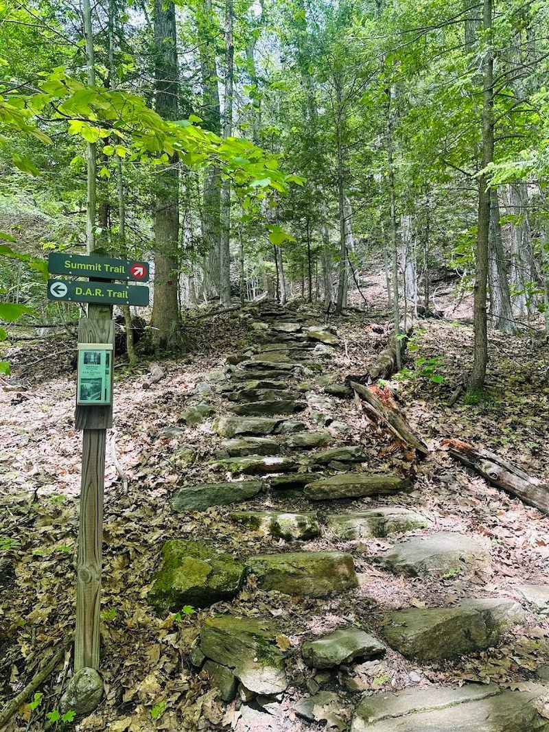 Chapel Brook