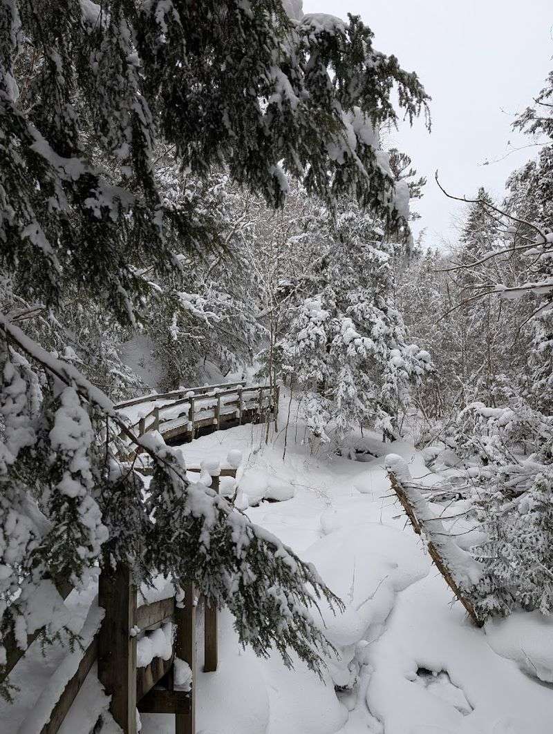 Wagner Falls Scenic Site, Munising