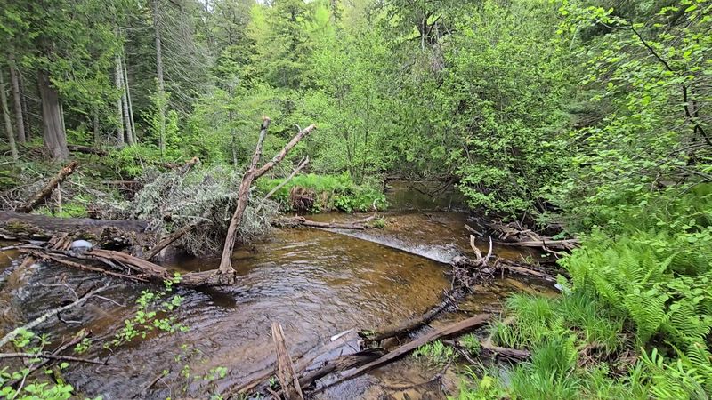 Chapel River Rush Points