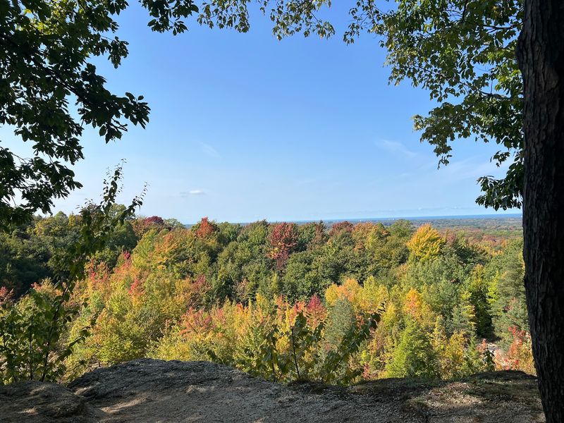 Chapin Forest Reservation, Kirtland
