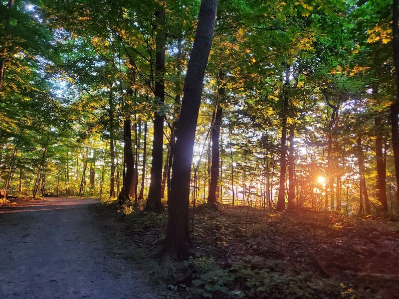 Chapin Forest Reservation Lucky Stone Loop Trail, Kirtland, OH