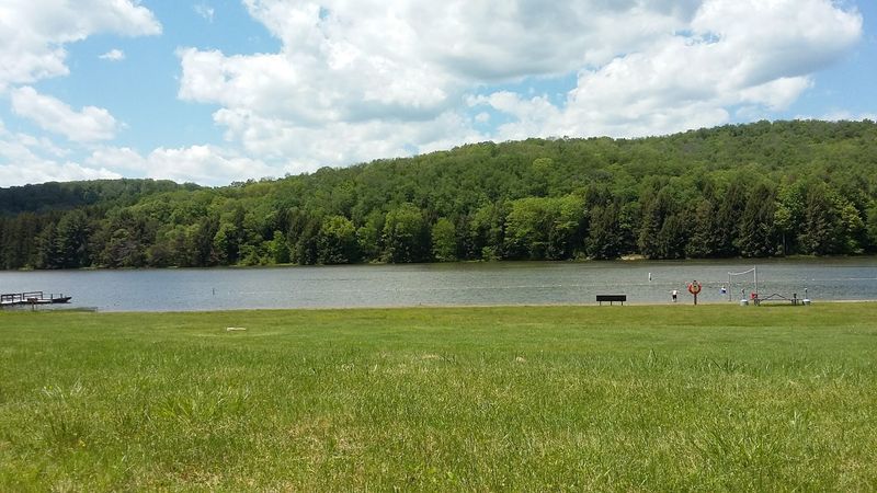 Chapman State Park, Clarendon