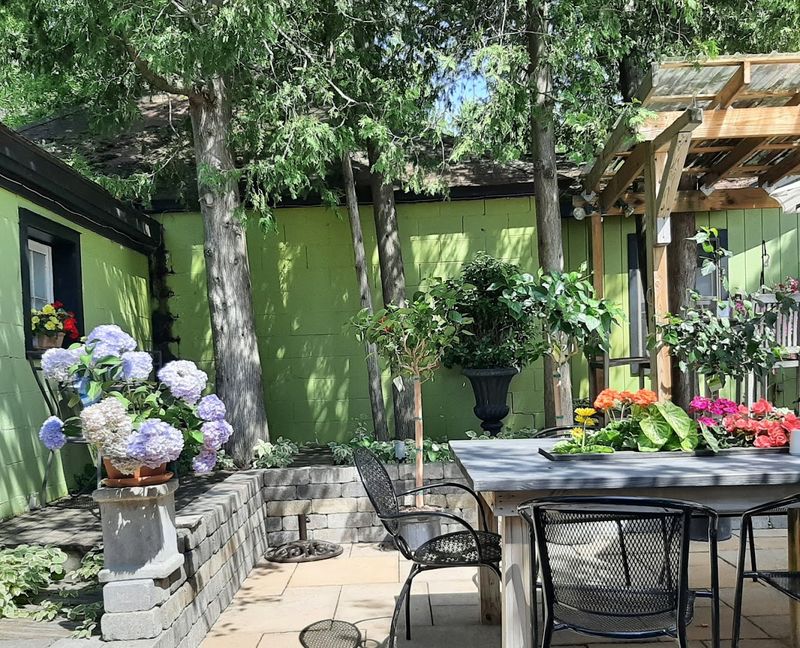 Dog Friendly, Plan Accordingly