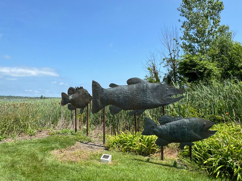 Whitehall & Montague (White Lake Area)