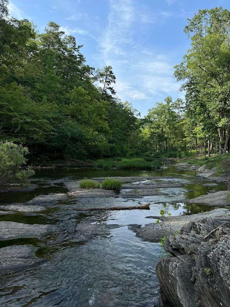 Charlton Recreation Area, Royal