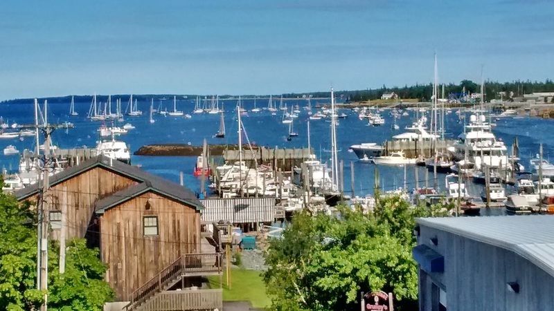 Charming Shops And Fresh Seafood Downtown