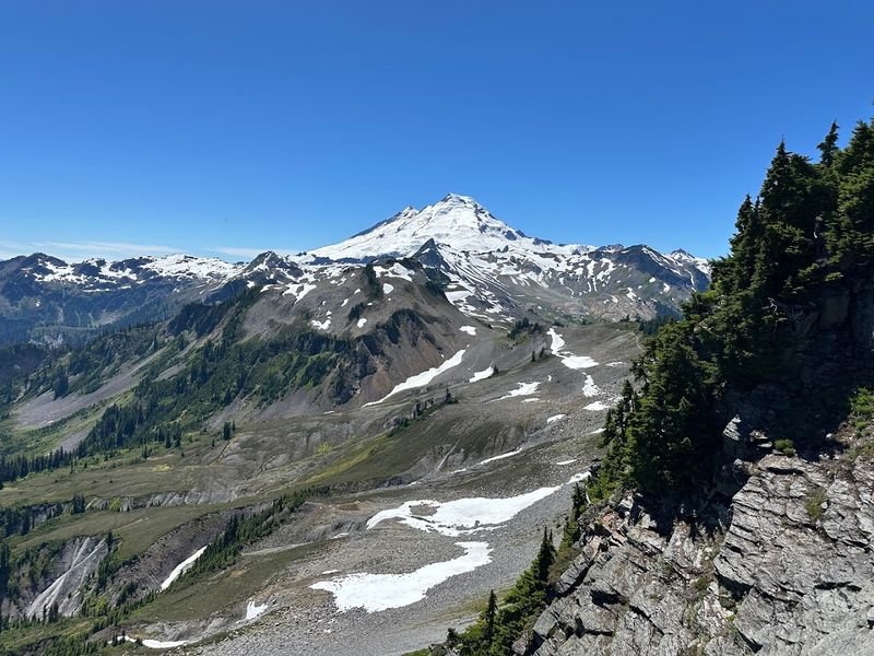Chase Wildflower Views Around Mount Baker
