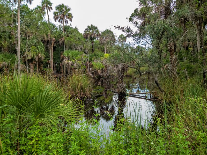 Lower Suwannee National Wildlife Refuge — Near Cedar Key