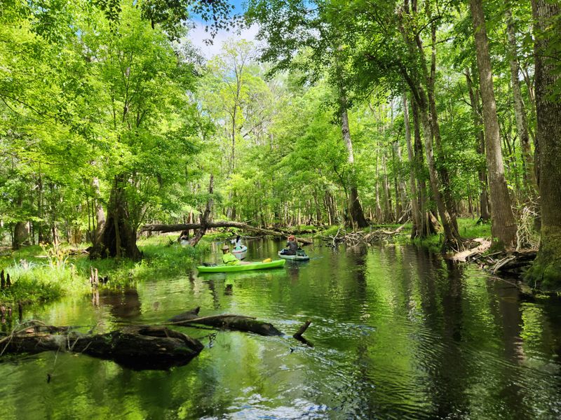 Santa Fe River And Springs Corridor