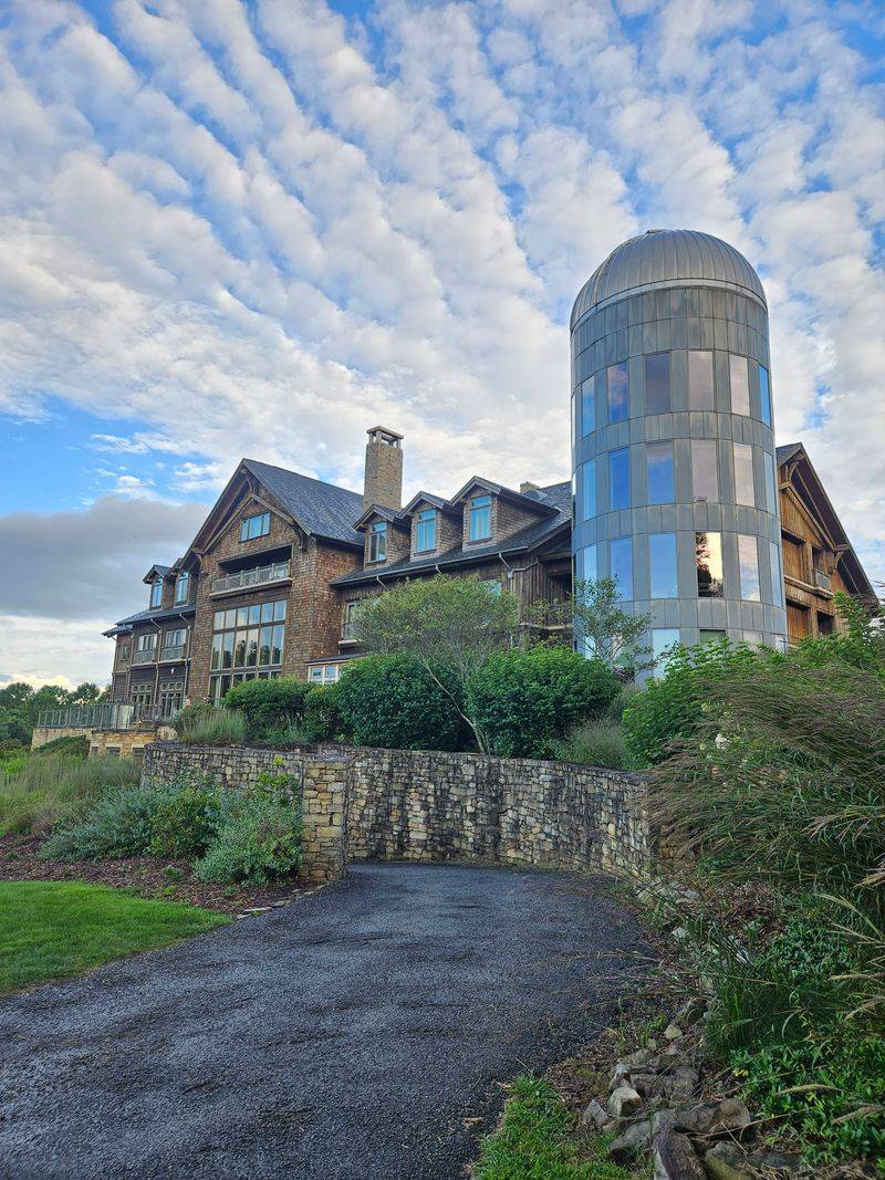 Leatherflower at Primland — Meadows of Dan, Virginia