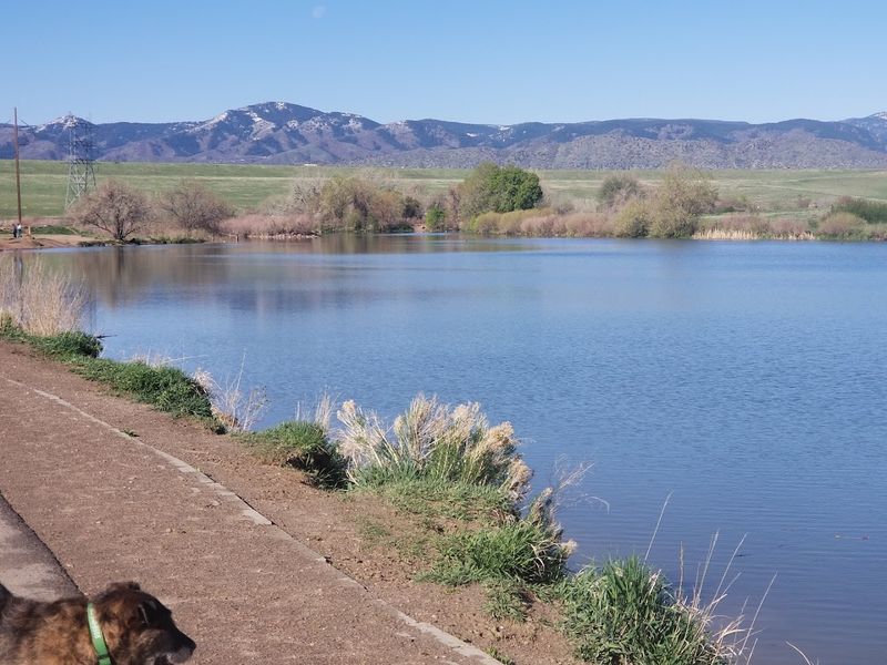 Chatfield State Park Dog Off-Leash Area - Littleton Chatfield State Park Dog Off-Leash Area - Littleton