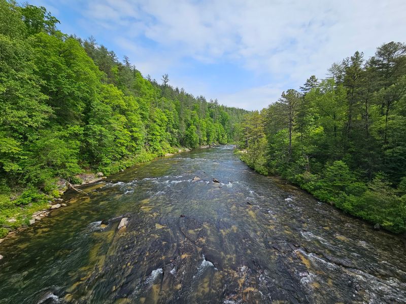 Chattooga River Trail, Sumter National Forest