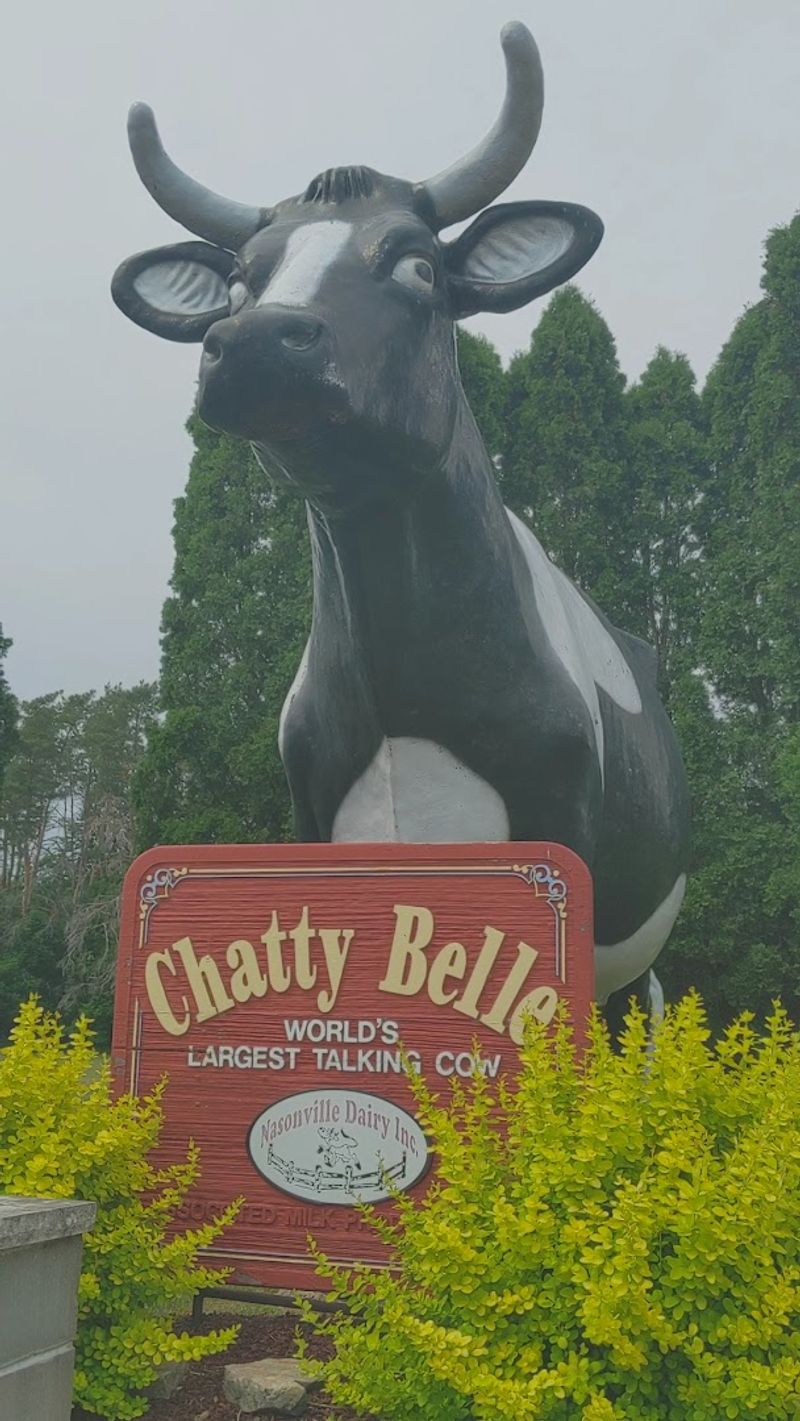 Chatty Belle