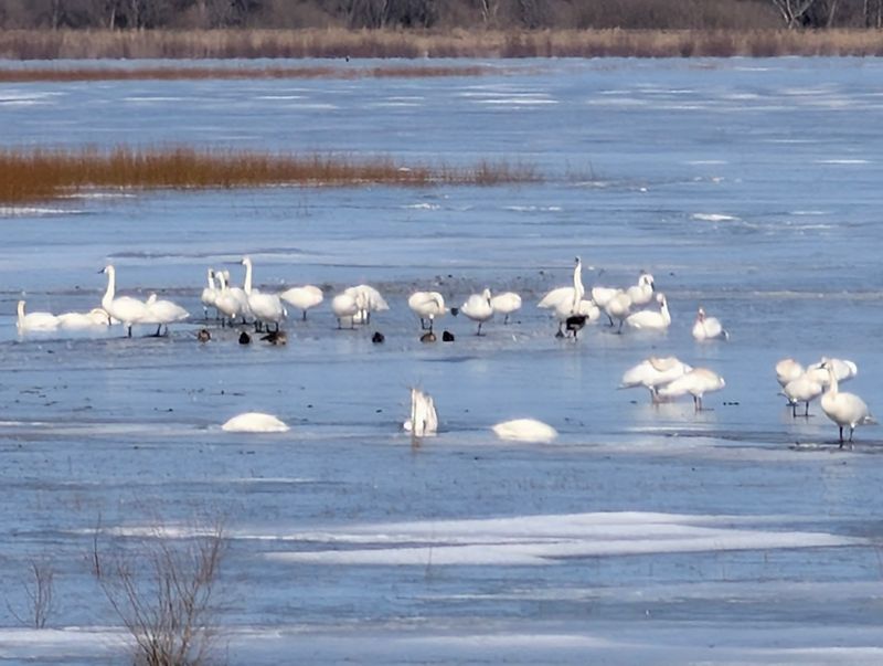 Chautauqua National Wildlife Refuge