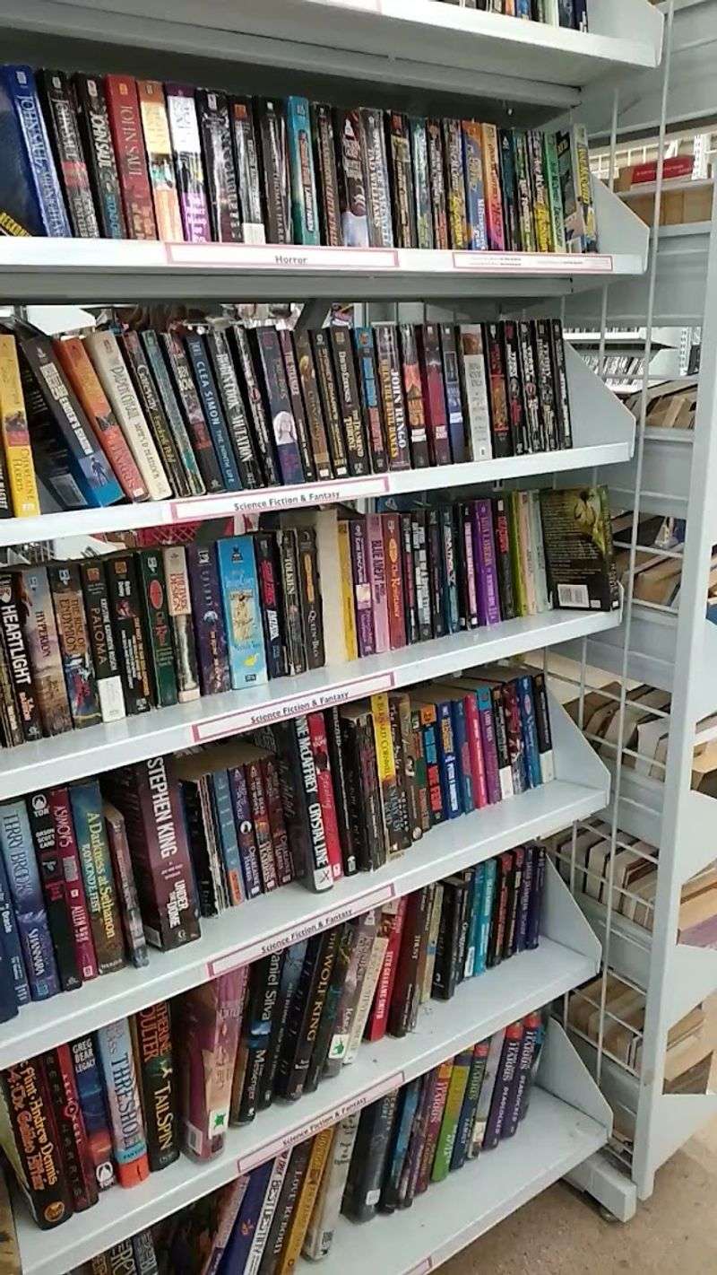 Cheap Reads Hide In Plain Sight