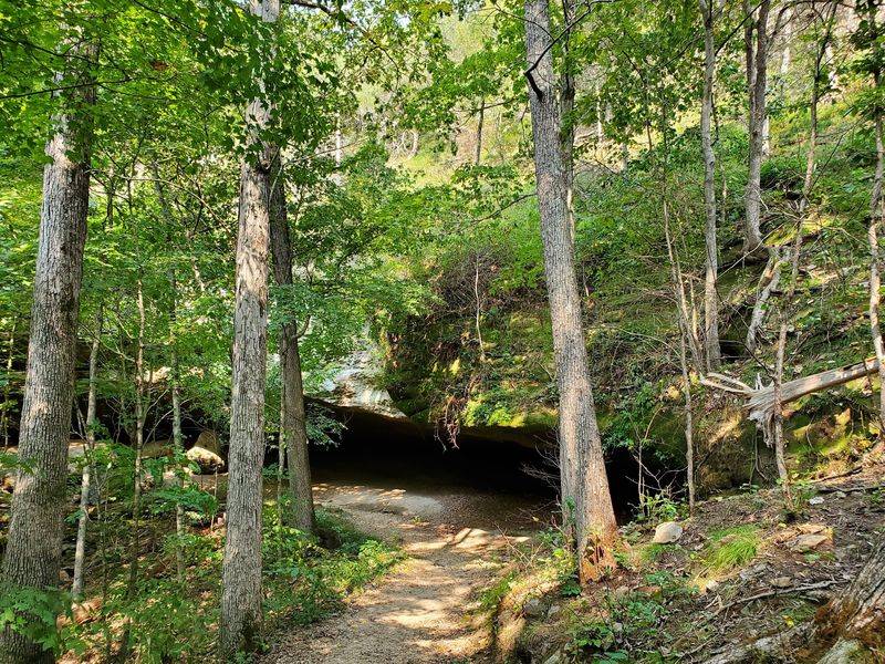 Check Conditions Before Chasing the Cascade