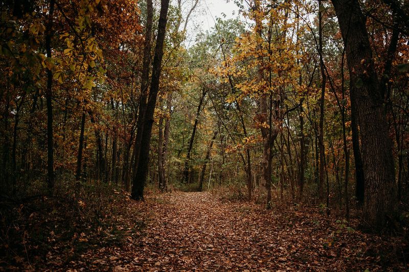 Explore Hillsdale And Jonesville While You Are Nearby