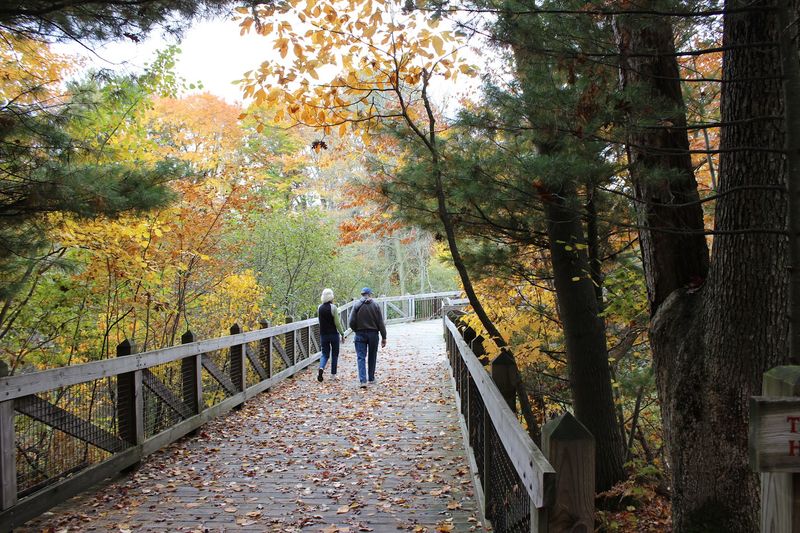 Check The Seasonal Programs