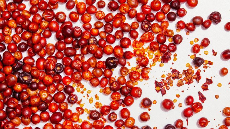Chiltepín Pepper Challenges