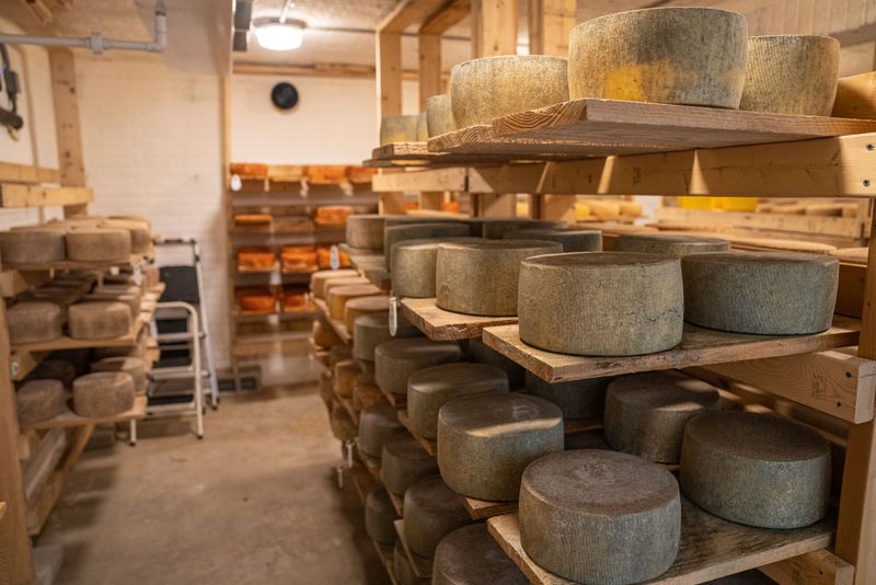 Cheese Lovers Have Found Their Spot